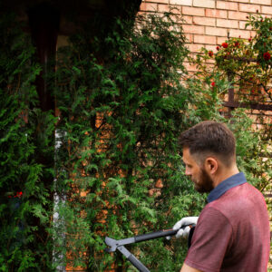The Benefits of Hiring a Professional Gardening Service