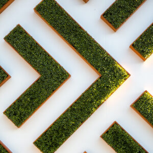 5 Expert Tips to Keep Your Lawn Green All Year Round