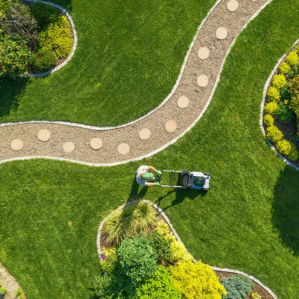 big-garden-grass-field-mowing-by-caucasian-gardener.jpg big-garden-grass-field-mowing-by-caucasian-gardener.jpg