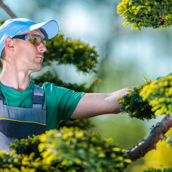 pro-gardener-at-work.jpg pro-gardener-at-work.jpg