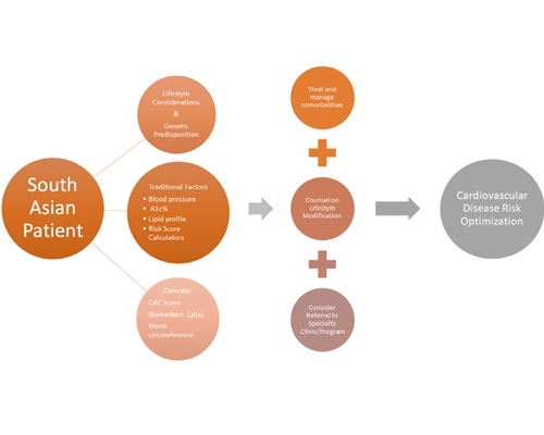 Cardiovascular Risk Management in the South Asian Patient